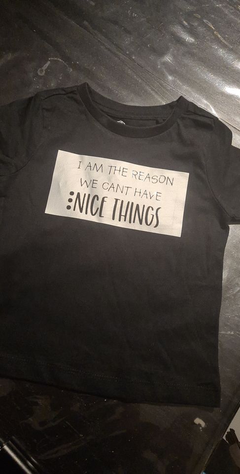 I'M THE REASON WE CANT HAVE NICE THINGS Tee